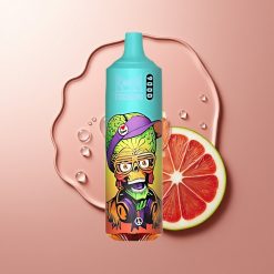 RandM Fumot Tornado 9000 Puhangud Bluelicious Jää + 850 mAh Laaditav