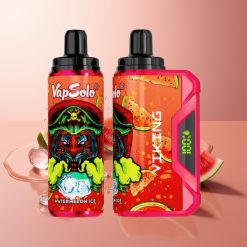 VapSolo VIKING 12000 Pahvad Ämblikjää Ühekordselt Kasutatav Vape Tüüp-C