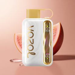 VOZOL STAR 40000 SÜGADE MELONIGUM 1000mAh TÜÜP-C